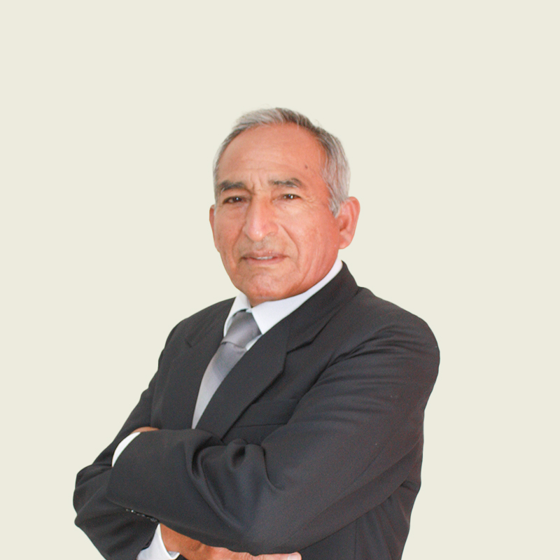 Ing. Alfredo Ramírez Aguilar